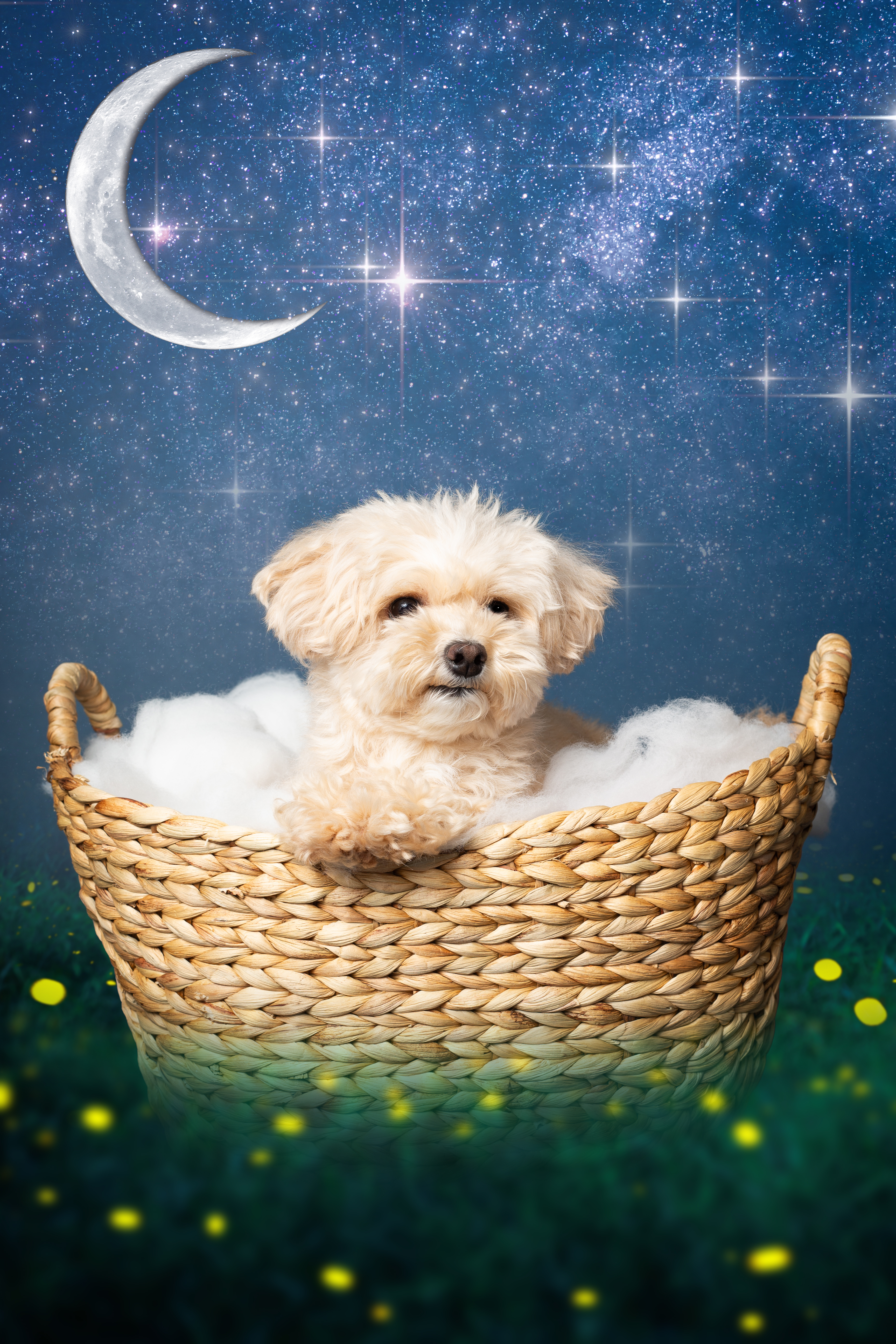 Have a Good Dream