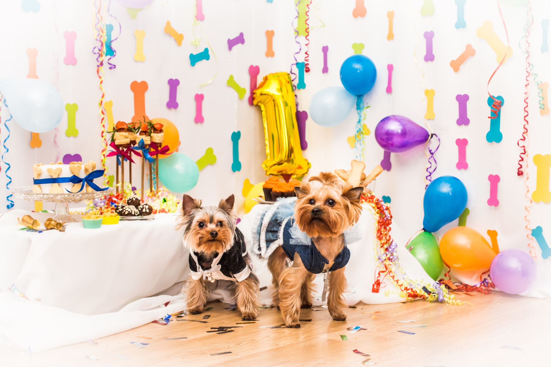 AdobeStock_374624645
