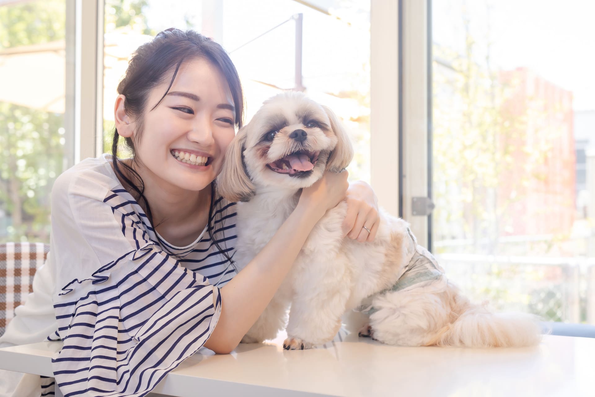 記念撮影に対応 | 東京都狛江市のフォトスタジオならAtelier Welina Pet Studio