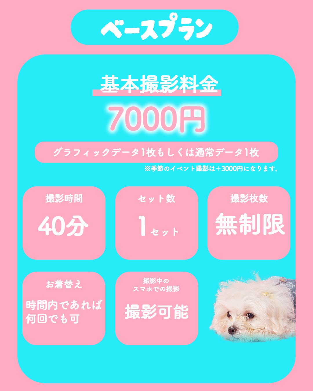 sample-02
