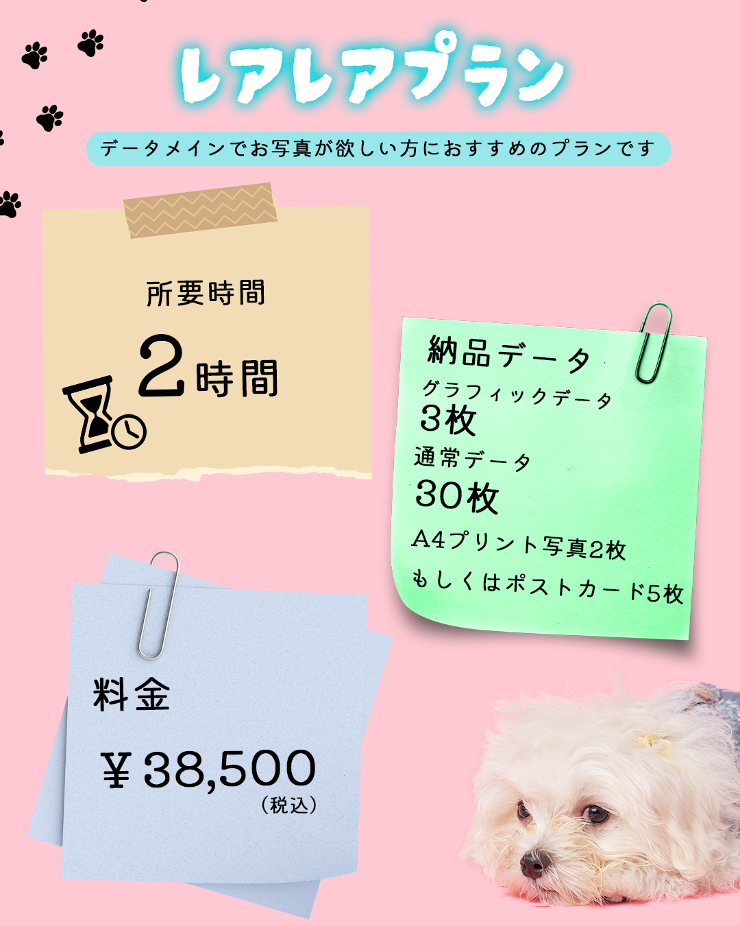 sample-02
