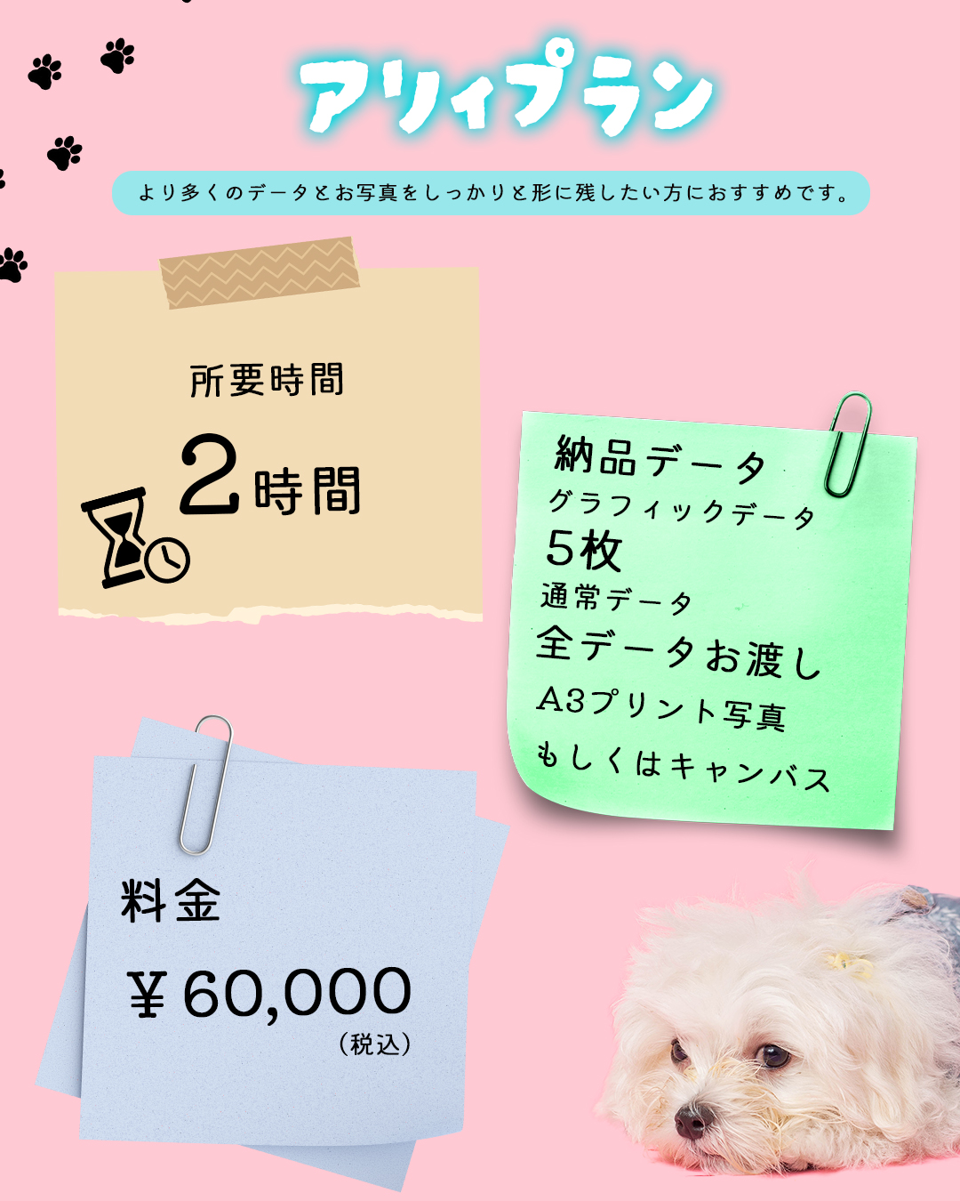 sample-02